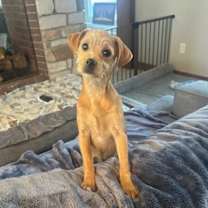 Thumbnail photo of Juniper #1