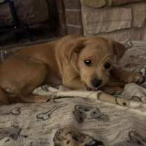 Thumbnail photo of Juniper #2