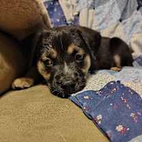 Thumbnail photo of Omar #3