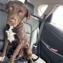 Thumbnail photo of Sabourin / Marissa #2