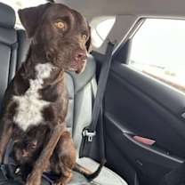 Thumbnail photo of Sabourin / Marissa #3