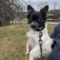 Thumbnail photo of Terrance #3