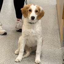 Thumbnail photo of Luke #3