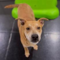 Thumbnail photo of Punkin #2