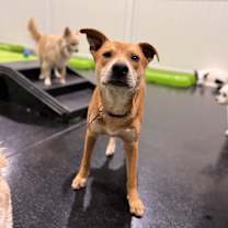 Thumbnail photo of Punkin #4