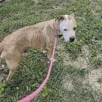 Thumbnail photo of Zeus #1