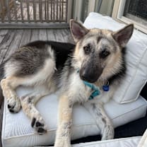 Thumbnail photo of Geeves #2