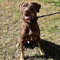 Thumbnail photo of Saint #1