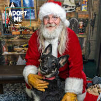 Thumbnail photo of Delilah #1