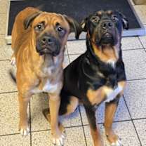 Thumbnail photo of Turner #3