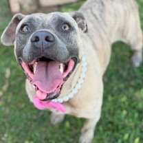 Thumbnail photo of Gumball #2