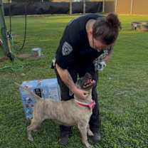 Thumbnail photo of Gumball #3