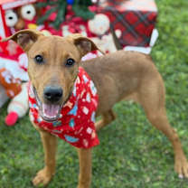 Thumbnail photo of Demi #1