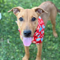 Thumbnail photo of Demi #3