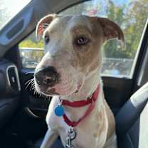 Thumbnail photo of Floyd #3