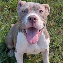 Thumbnail photo of MUSHU #3