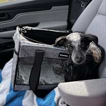 Thumbnail photo of Lucy #4