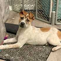 Thumbnail photo of Bloom #1