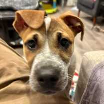 Thumbnail photo of Bloom #2