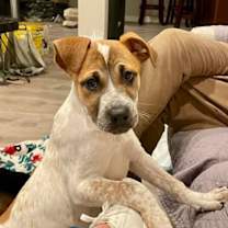 Thumbnail photo of Bloom #3