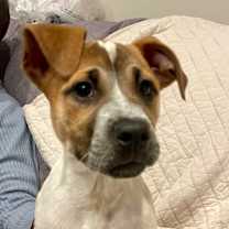 Thumbnail photo of Bloom #4