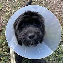 Thumbnail photo of Venus #4