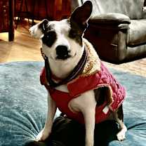 Thumbnail photo of Feyre #2