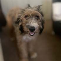 Thumbnail photo of Kenzie #3