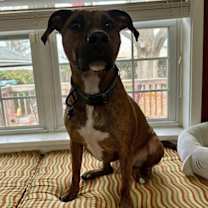 Thumbnail photo of Ranger #1