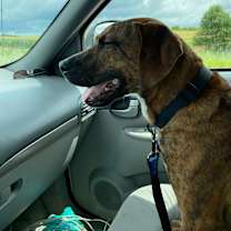 Thumbnail photo of Ranger #2