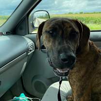 Thumbnail photo of Ranger #3