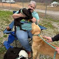 Thumbnail photo of Yukon #4