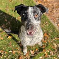 Thumbnail photo of Japan #1