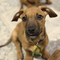 Thumbnail photo of Sherwood #2