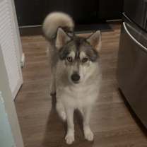 Thumbnail photo of Max #2