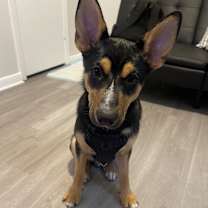 Thumbnail photo of Kane #4