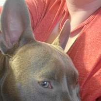 Thumbnail photo of Blue #2