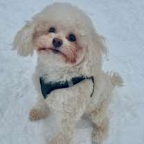 Thumbnail photo of Frida #1