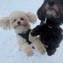 Thumbnail photo of Frida #4