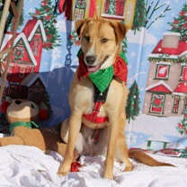 Thumbnail photo of Max #2