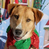 Thumbnail photo of Max #1