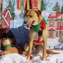 Thumbnail photo of Max #3