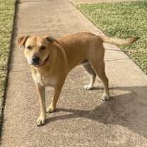 Thumbnail photo of Lily #2