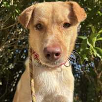 Thumbnail photo of Froda #2