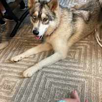 Thumbnail photo of Max #3