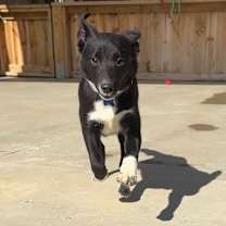 Thumbnail photo of Morgan #2