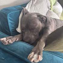 Thumbnail photo of Donna #3