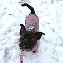 Thumbnail photo of Cherry #1