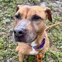 Thumbnail photo of Wednesday  #1