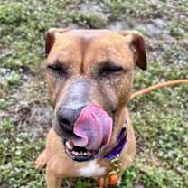 Thumbnail photo of Wednesday  #2